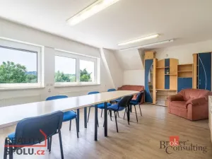 Pronájem výrobních prostor, Vigantice, 780 m2