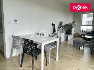 Pronájem bytu 2+kk, Olomouc, Eduarda Hamburgera, 61 m2