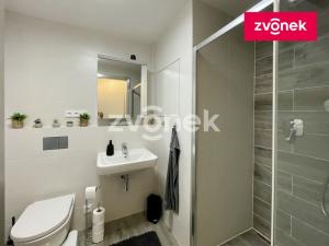Pronájem bytu 2+kk, Olomouc, Eduarda Hamburgera, 61 m2