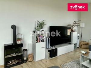 Pronájem bytu 2+kk, Olomouc, Eduarda Hamburgera, 61 m2