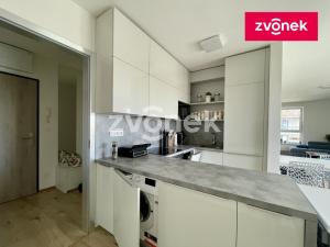 Pronájem bytu 2+kk, Olomouc, Eduarda Hamburgera, 61 m2