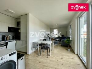 Pronájem bytu 2+kk, Olomouc, Eduarda Hamburgera, 61 m2