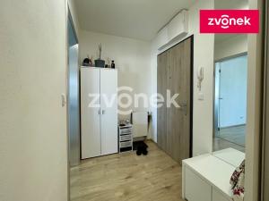 Pronájem bytu 2+kk, Olomouc, Eduarda Hamburgera, 61 m2