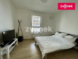 Pronájem bytu 2+kk, Olomouc, Eduarda Hamburgera, 61 m2