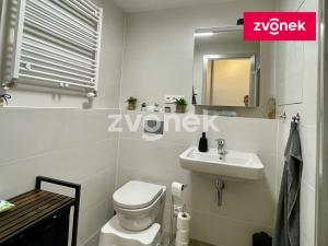 Pronájem bytu 2+kk, Olomouc, Eduarda Hamburgera, 61 m2
