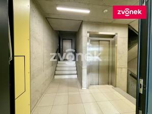 Pronájem bytu 2+kk, Olomouc, Eduarda Hamburgera, 61 m2
