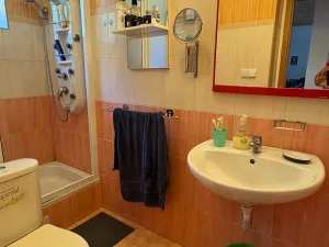 Prodej rodinného domu, Sušice - Volšovy, 270 m2