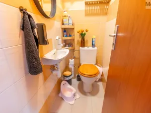 Prodej rodinného domu, Obříství, Povodňová, 150 m2