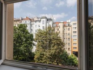Pronájem bytu 2+1, Praha - Žižkov, Jičínská, 48 m2