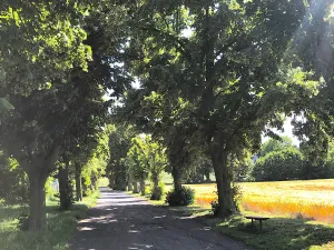 Prodej pozemku pro bydlení, Brandýsek, Na Vyhlídce, 1369 m2