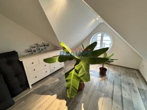 Prodej atypického bytu, České Budějovice - České Budějovice 5, 147 m2