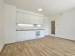 Pronájem bytu 1+kk, Praha, Šenácká, 36 m2