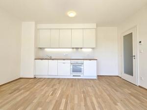 Pronájem bytu 1+kk, Praha, Šenácká, 36 m2