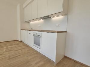 Pronájem bytu 1+kk, Praha, Šenácká, 36 m2
