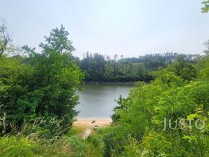 Prodej pozemku pro bydlení, Jetětice, 3152 m2