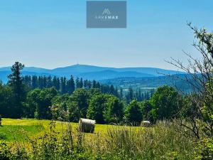 Prodej chaty, Město Albrechtice - Česká Ves, 91 m2