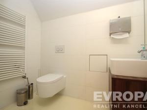 Pronájem obchodního prostoru, Praha - Holešovice, Na Maninách, 250 m2