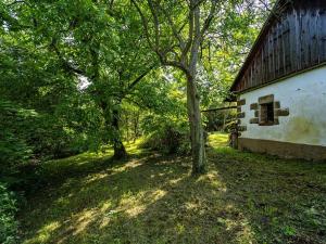 Prodej chalupy, Skalsko, 101 m2