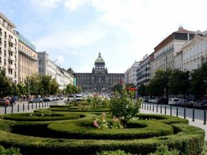 Pronájem pokoje, Vysoké Veselí, Václavské náměstí, 15 m2