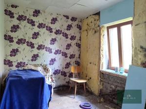 Prodej ubytování, Nová Ves, 250 m2