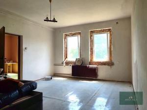 Prodej ubytování, Nová Ves, 250 m2