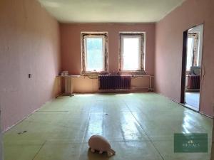 Prodej ubytování, Nová Ves, 250 m2