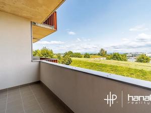 Pronájem bytu 1+kk, Olomouc, Aloise Rašína, 30 m2