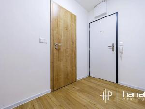 Pronájem bytu 1+kk, Olomouc, Aloise Rašína, 30 m2