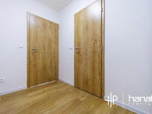 Pronájem bytu 1+kk, Olomouc, Aloise Rašína, 30 m2