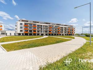 Pronájem bytu 1+kk, Olomouc, Aloise Rašína, 30 m2