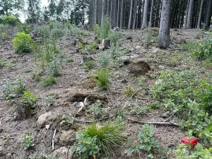 Prodej chalupy, Dudín, 90 m2