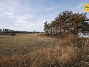 Prodej pozemku pro bydlení, Moravský Písek, 874 m2