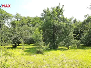 Prodej vily, Nové Město nad Metují - Krčín, Na Strážnici, 198 m2