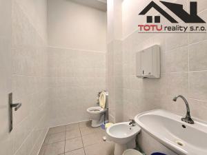 Pronájem kanceláře, Černožice, 400 m2