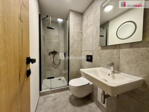 Prodej bytu 1+kk, Harrachov, 40 m2