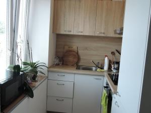 Prodej bytu 1+kk, Praha - Lochkov, Cementářská, 28 m2