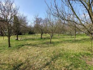 Prodej pozemku pro bydlení, Ostrava - Kunčice, Štěpaňákova, 1334 m2