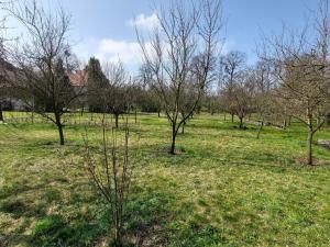 Prodej pozemku pro bydlení, Ostrava - Kunčice, Štěpaňákova, 1334 m2