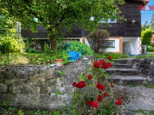 Prodej chaty, Druztová, 30 m2