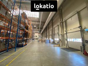 Pronájem skladu, Ostrava, 3682 m2