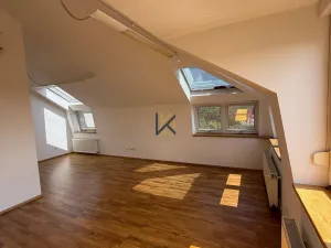 Pronájem kanceláře, Praha - Krč, U Habrovky, 160 m2