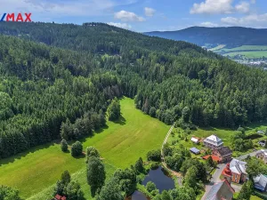 Prodej pozemku pro bydlení, Červená Voda, 7993 m2