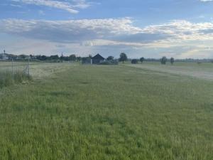 Prodej pozemku pro bydlení, Štarnov, 1607 m2