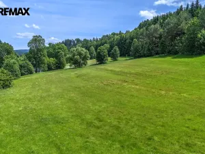 Prodej pozemku pro bydlení, Červená Voda, 3672 m2