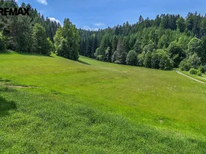 Prodej pozemku pro bydlení, Červená Voda, 3948 m2