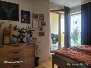 Pronájem bytu 2+kk, Praha - Holešovice, Komunardů, 60 m2