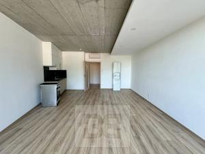 Pronájem bytu 1+kk, Brno, 38 m2