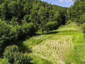 Prodej louky, Rabyně, 1457 m2