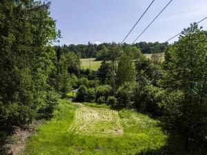 Prodej louky, Rabyně, 1457 m2