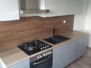 Pronájem bytu 1+1, Ostrava, nábřeží Svazu protifašistických bojovníků, 40 m2